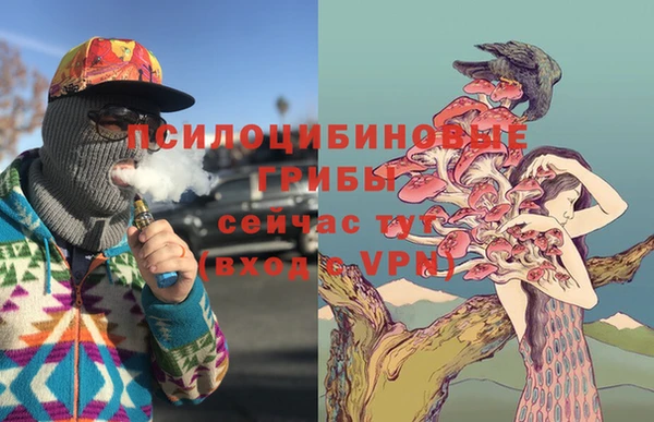 гидра Алексин