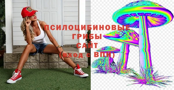 гидра Алексин
