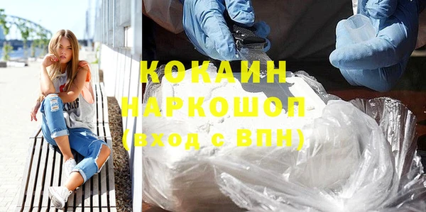 гидра Алексин