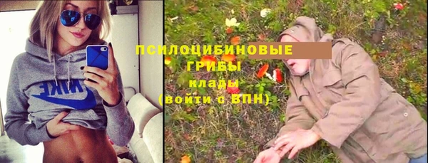 гидра Алексин