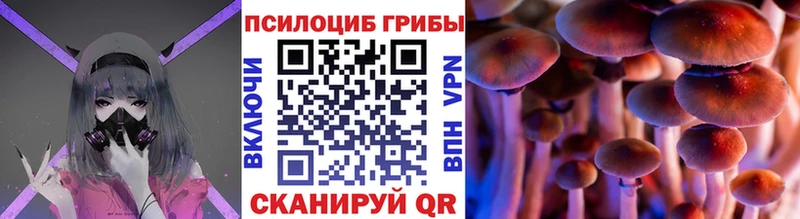 Галлюциногенные грибы прущие грибы  Стародуб 